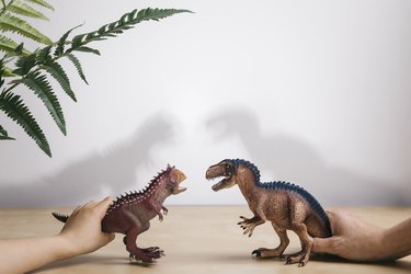 playing with plastic dinosaurs
