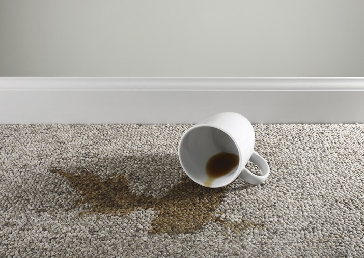 Coffee cup Spilled on carpet