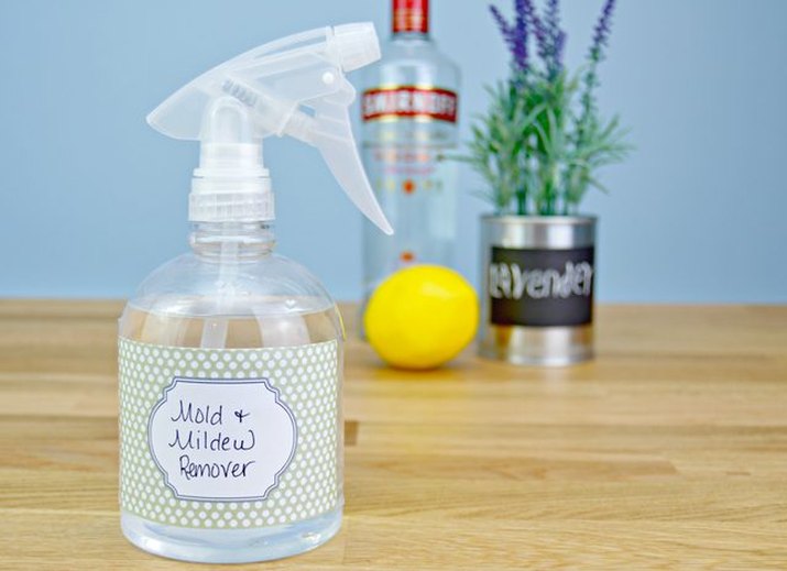 DIY mold and mildew remover