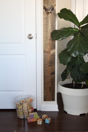 Measuring stick growth chart