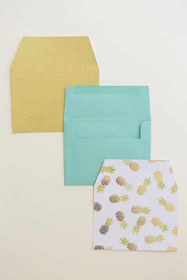 Envelope and two envelope liners.