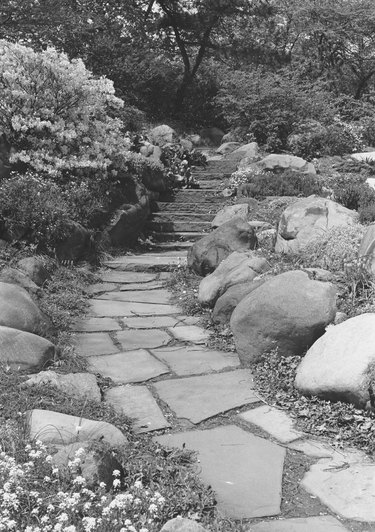 Footpath in rock garden, (B&W)