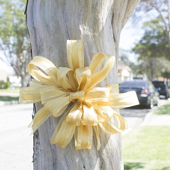 Gold bow tied around tree.