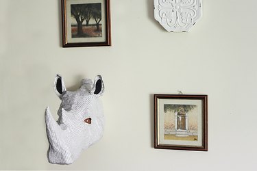 rhino bust hanging on wall with picture frames