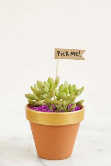 Planter with a gift tag